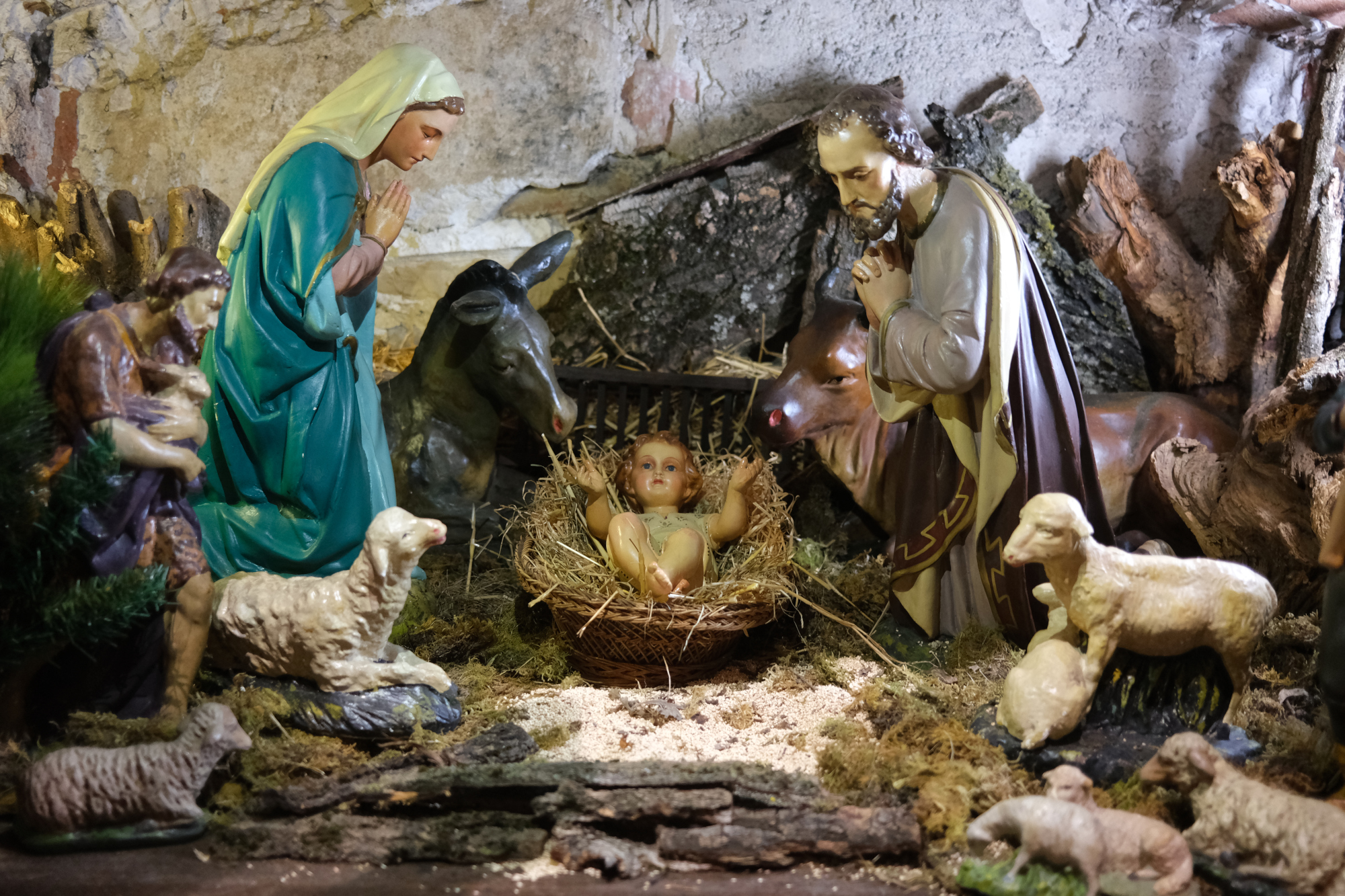 Presepe altare San Francesco - Natale 2022